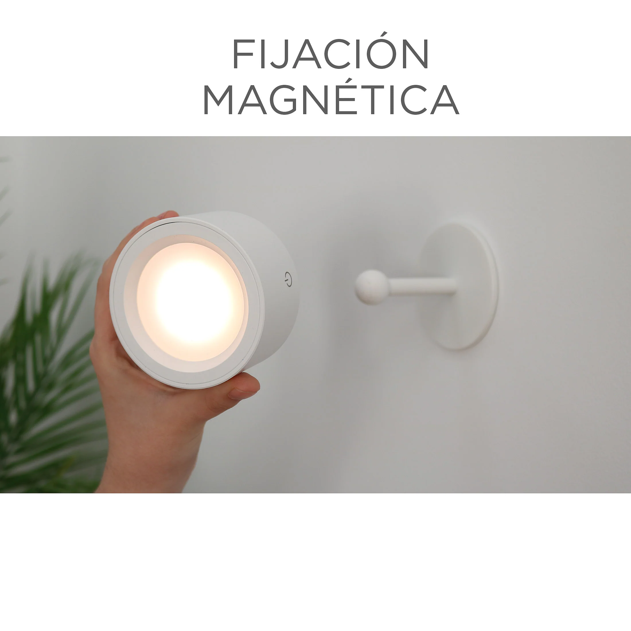 Imagen del producto 25