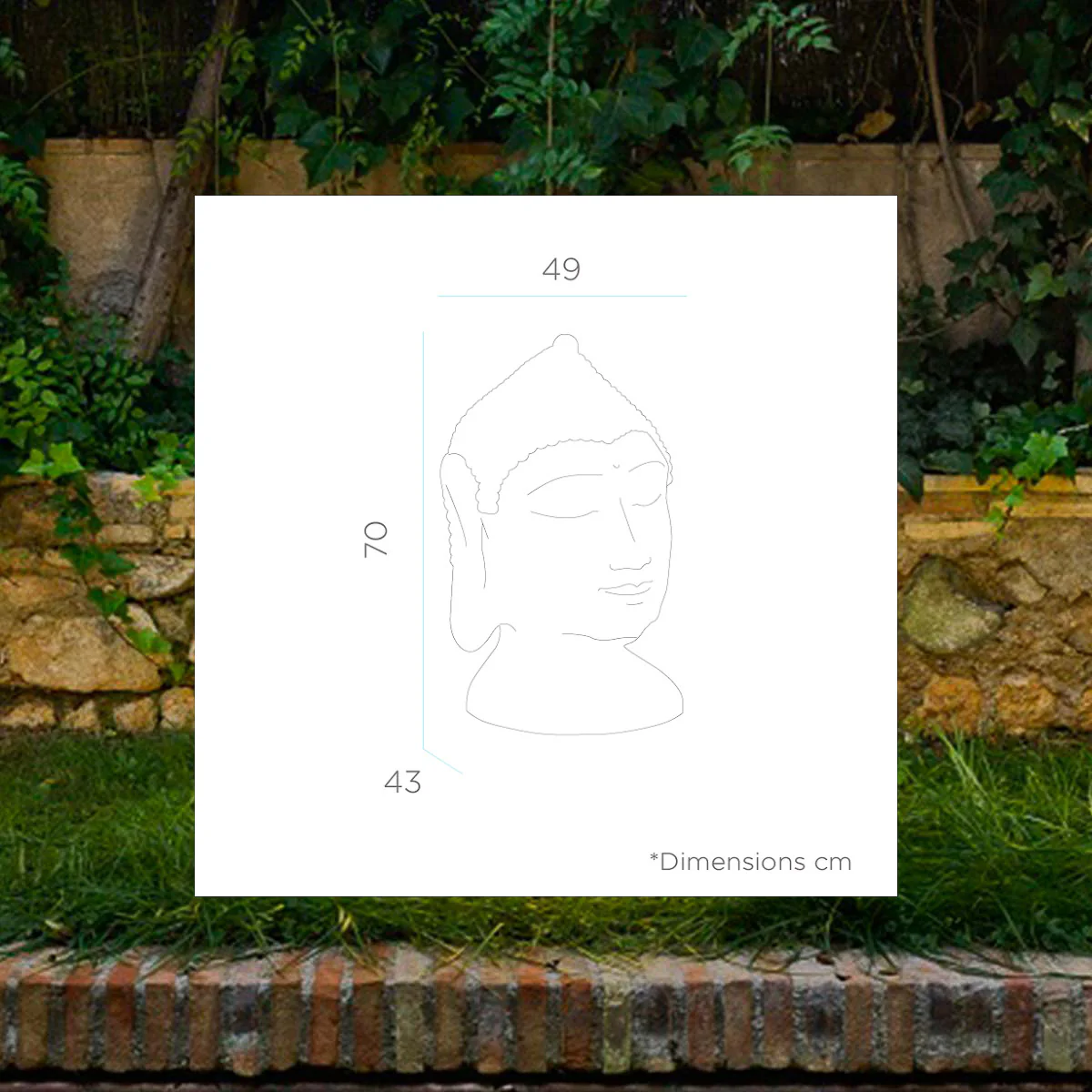 Imagen del producto 13