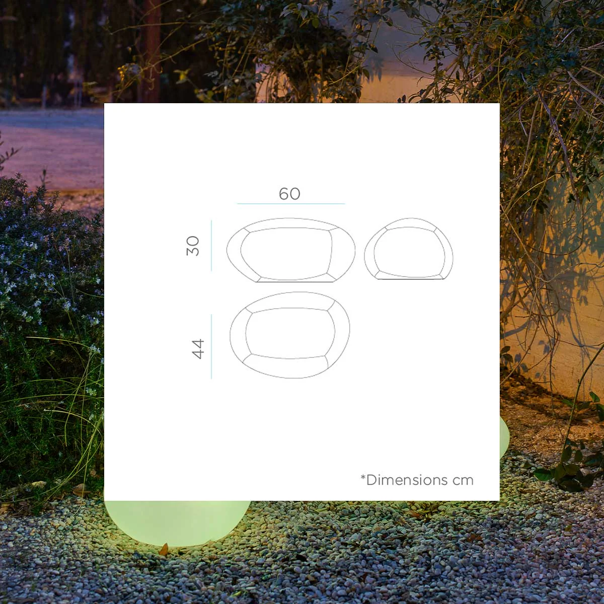 Imagen del producto 5