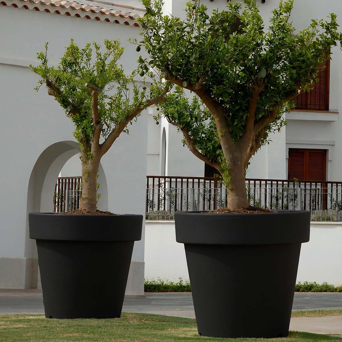 Imagen del producto 6