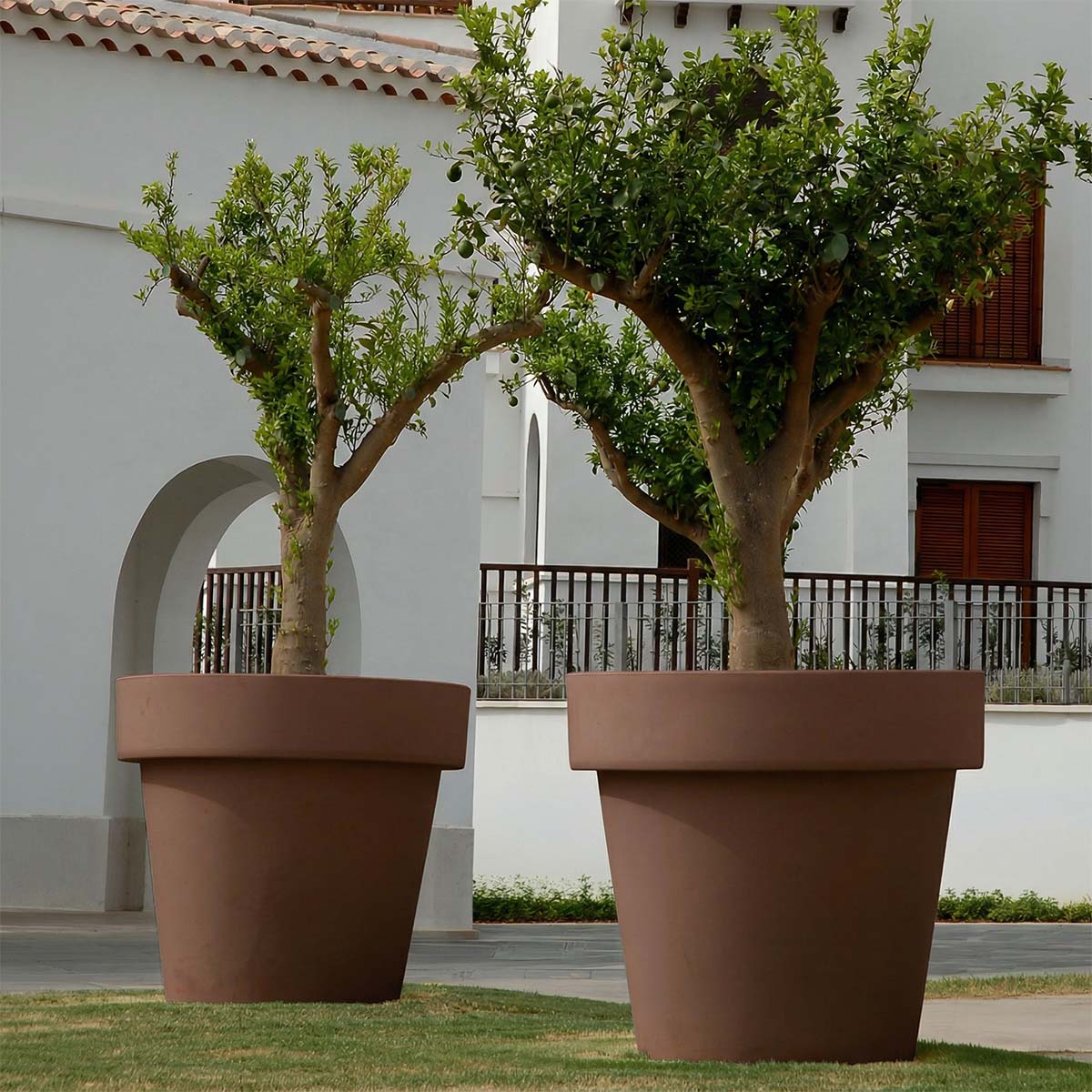 Imagen del producto 7