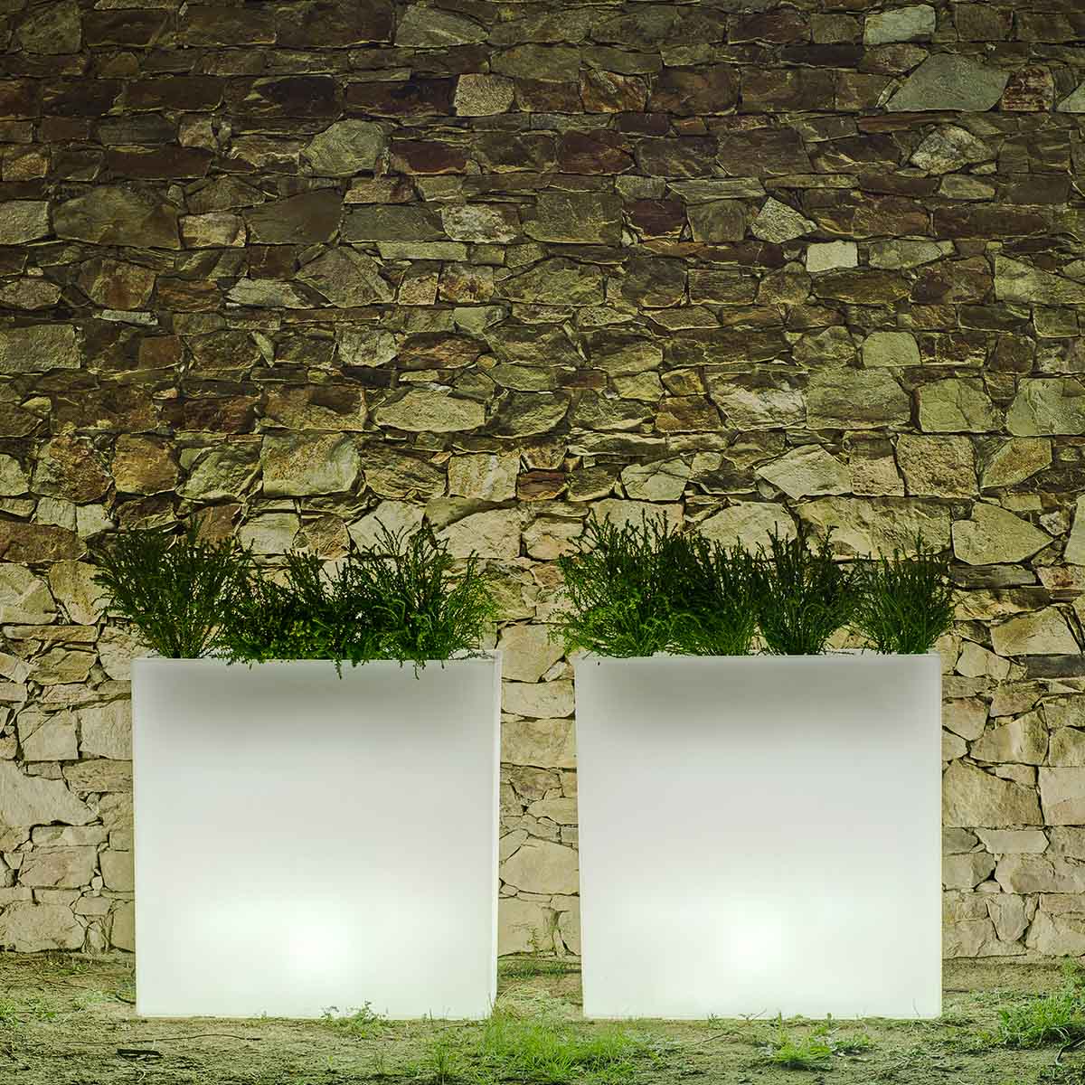 Imagen del producto 8