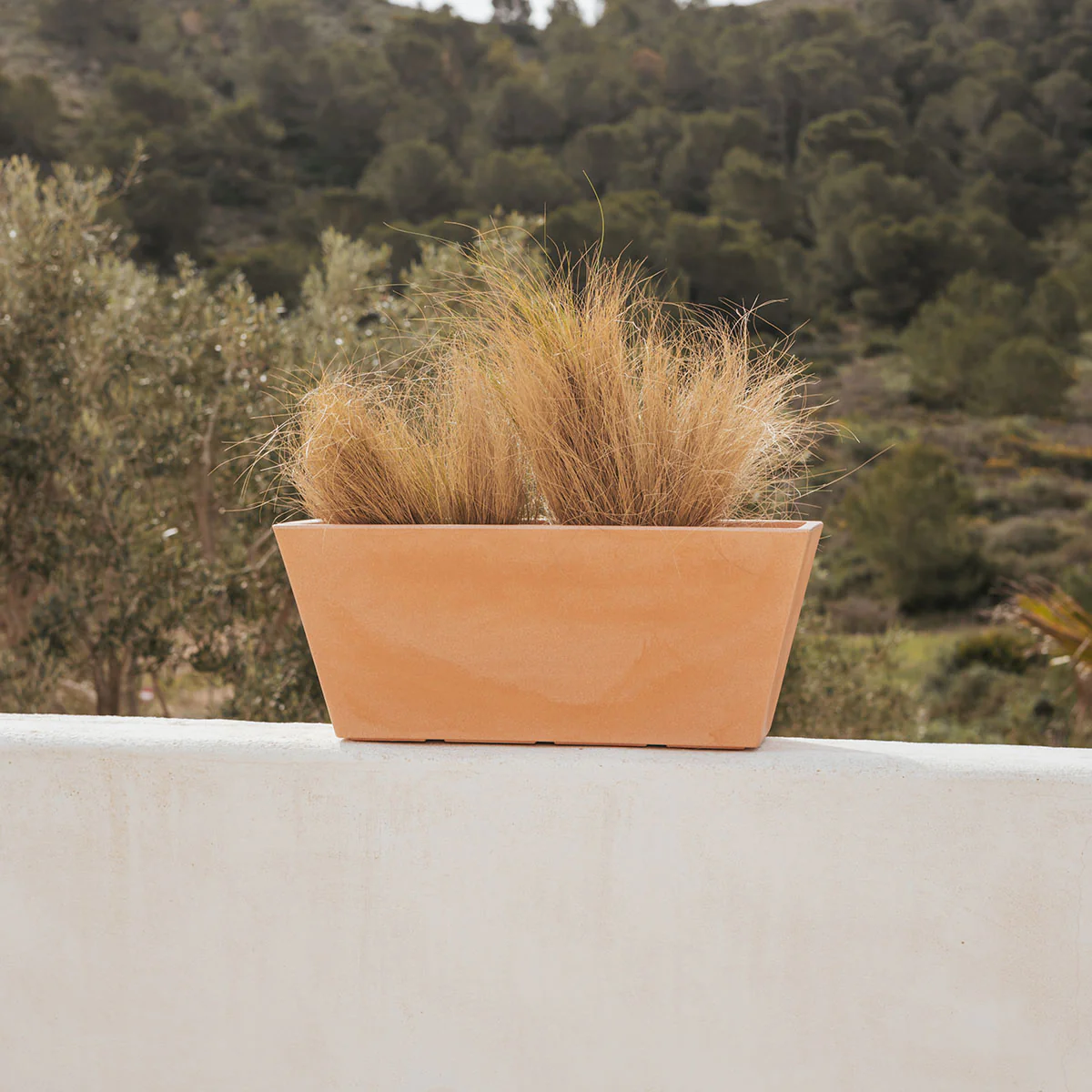 Imagen del producto 9