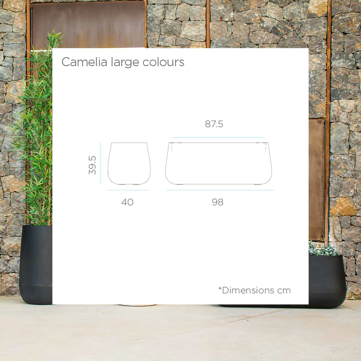 Imagen del producto 8